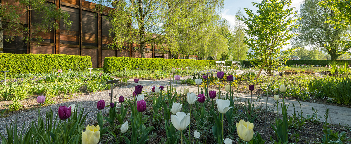 [Translate to English:] Campus Rapperswil